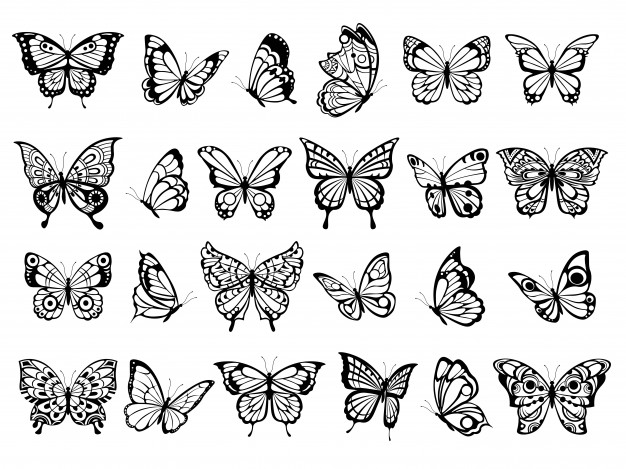 Most Beautiful Butterfly Drawing Samples: Something for Kids to Indulge In