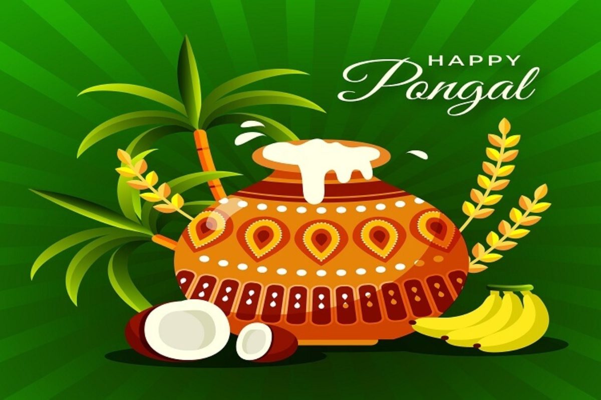 Pongal Activity Pack {50 Pages} – LittleLadoo