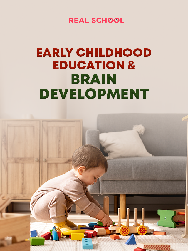 Early Childhood Education and Brain Development: Your Guide
